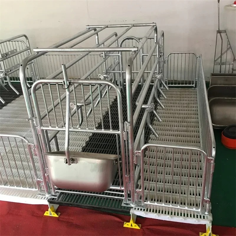 Farming Yt - Cage à cochon galvanisée, caisse de