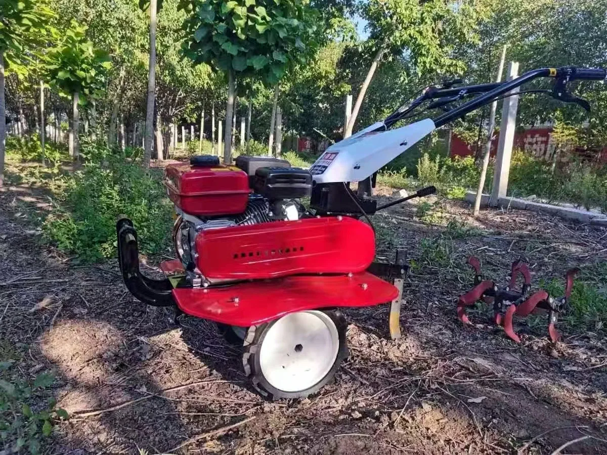 Organic Farming In Agriculture - Offre Spéciale : Meilleur Motoculteur Agricole