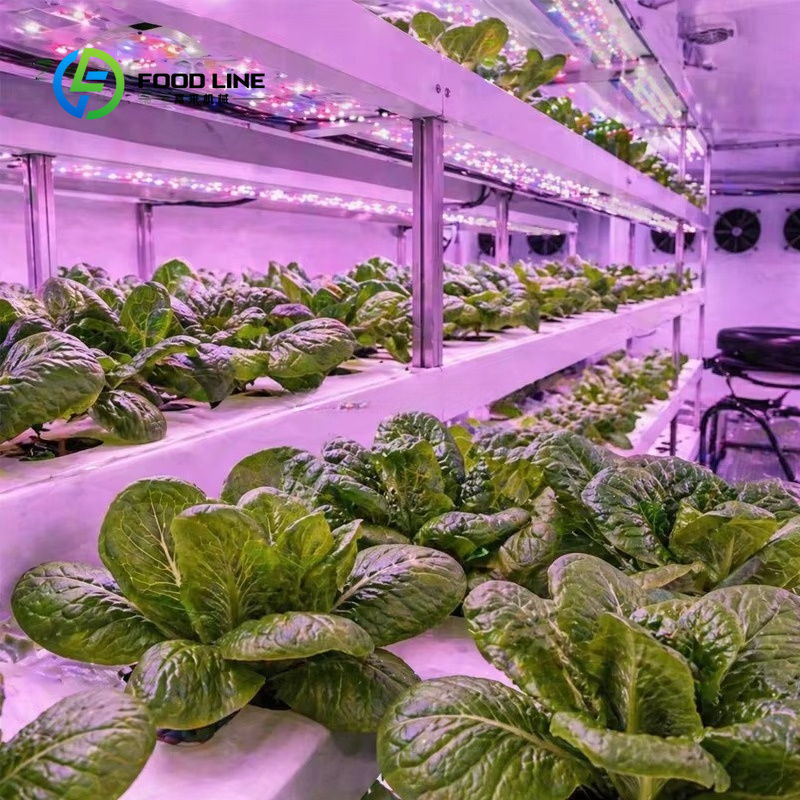 Ferme hydroponique en conteneu - Farming Agriculture Project avis et prix