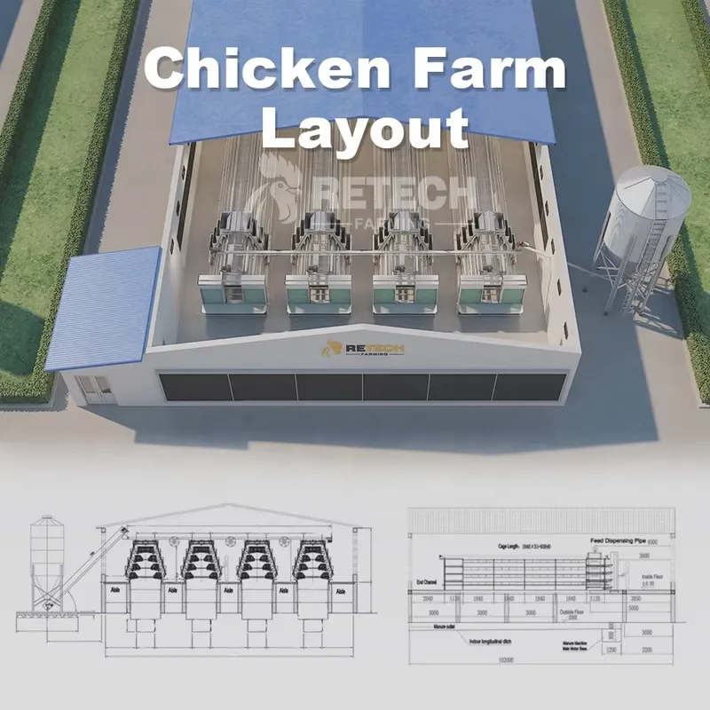 Cage à poules automatique de t - Farming Africa avis et prix