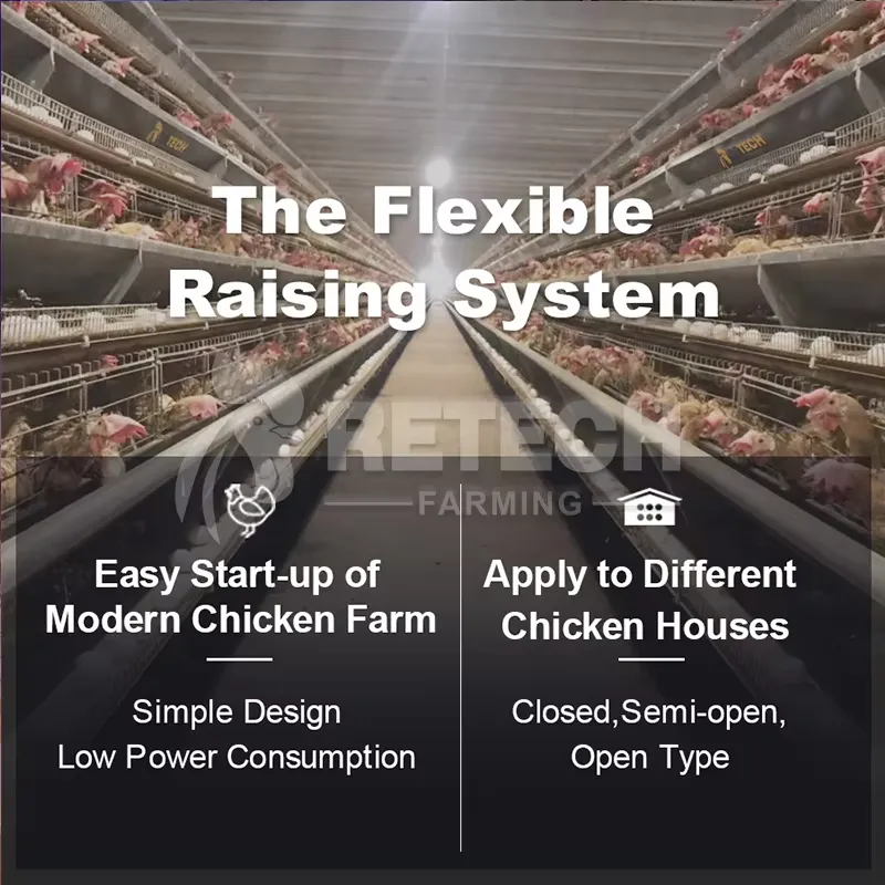 Cage à poules automatique de t - Farming Africa avis et prix