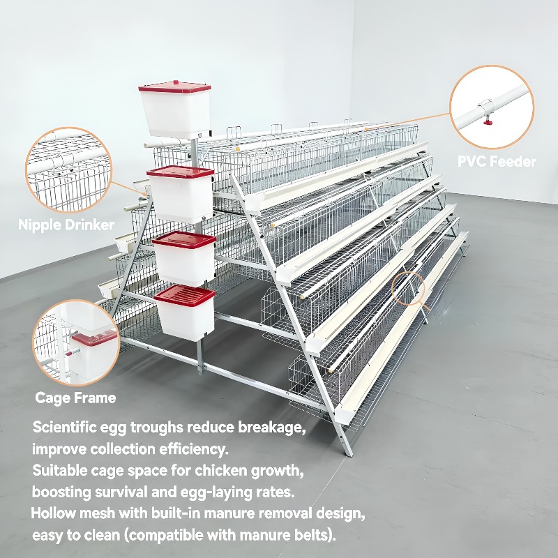   Poulailler New Africa, Cage  - Farming Africa avis et prix