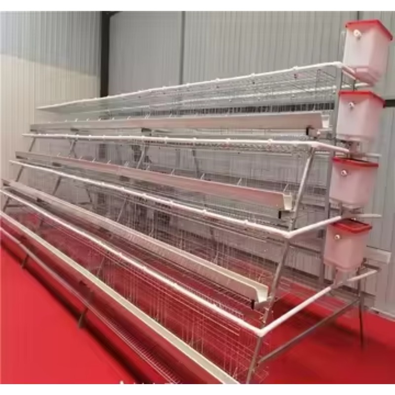   Poulailler New Africa, Cage  - Farming Africa avis et prix