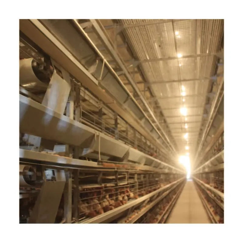 TIANRUI Nouvelle cage à poules - Farming Africa avis et prix