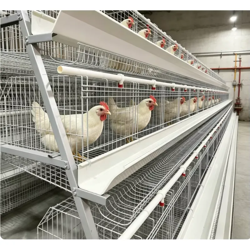 Cage à poulets de type A avec  - Farming Africa avis et prix
