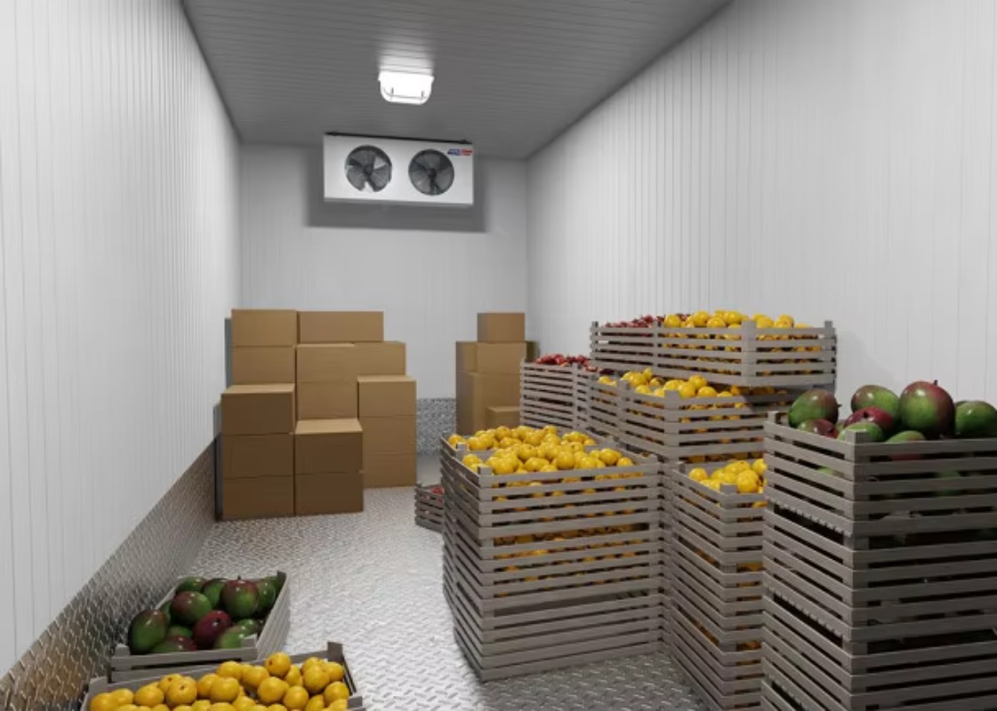 Chambre froide solaire pour fe - Farming Africa avis et prix