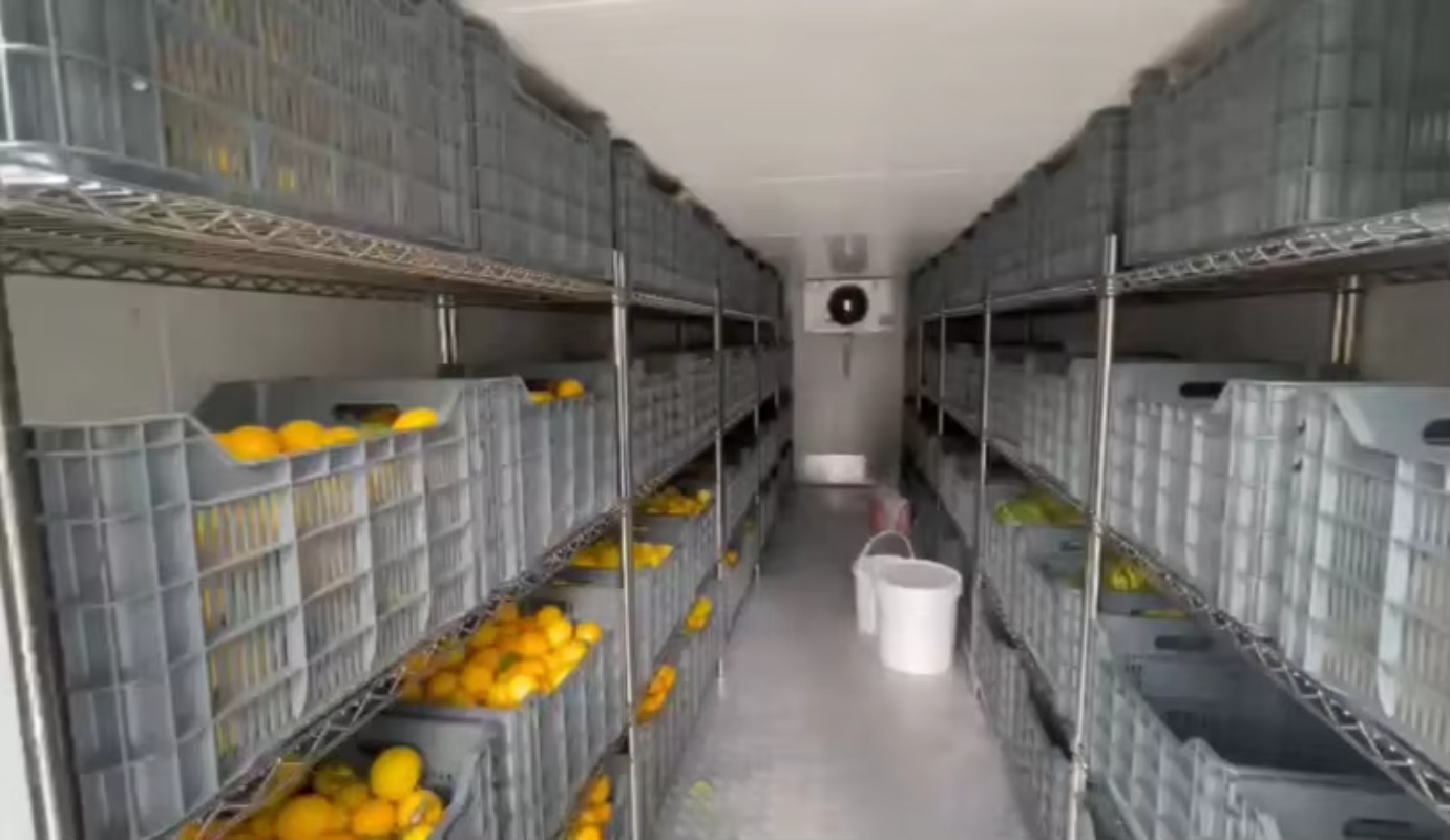 Chambre froide solaire pour fe - Farming Africa avis et prix