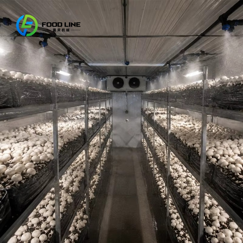 Système d'agriculture vertical - Farming Agriculture Project avis et prix