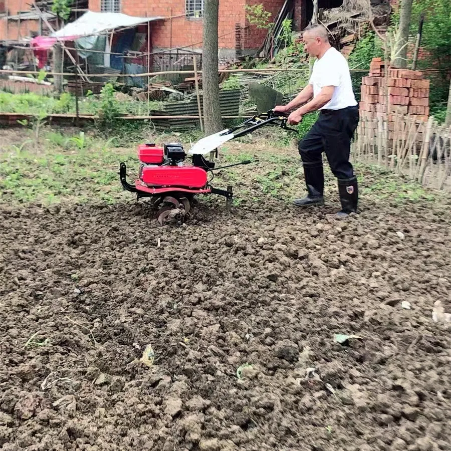Offre Spéciale : Meilleur Moto - Organic Farming In Agriculture avis et prix