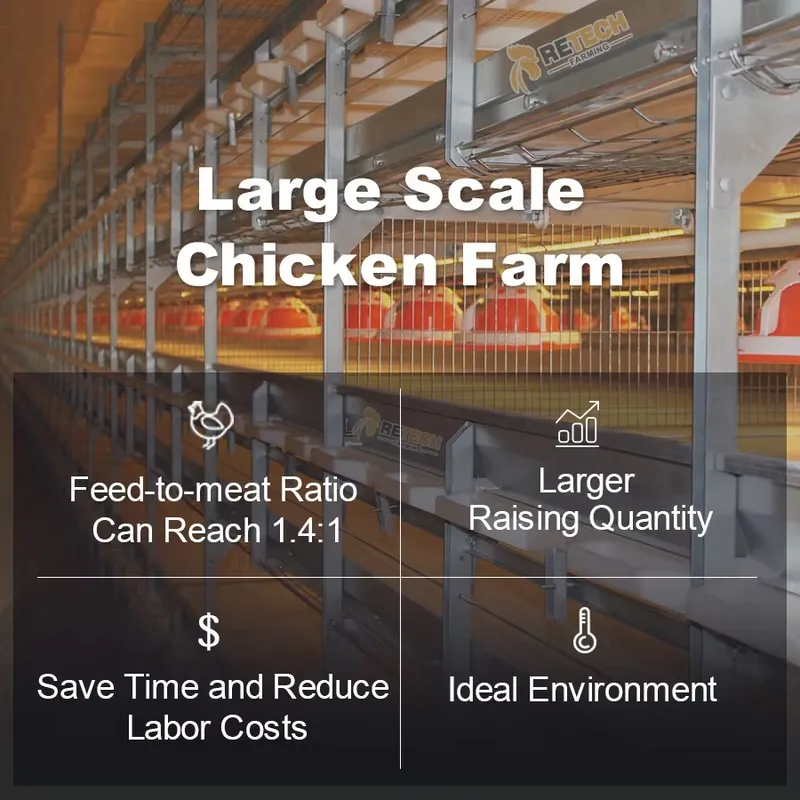 Cage à poulets automatique de  - Farming Africa avis et prix