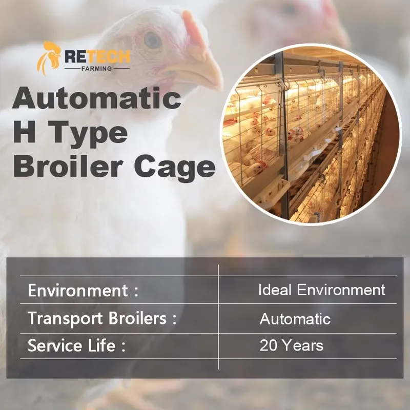 Cage à poulets automatique de  - Farming Africa avis et prix