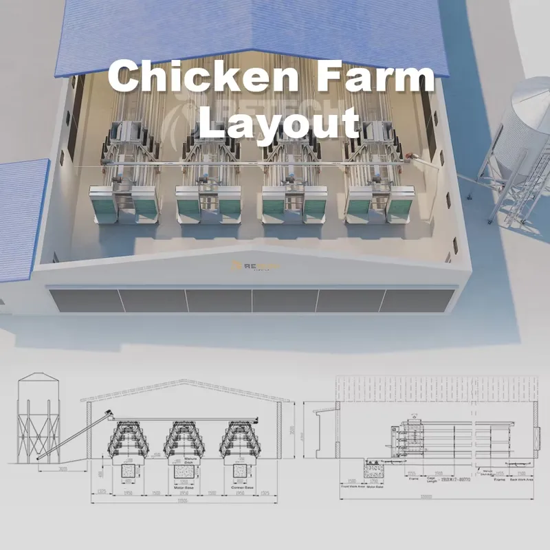 Cage à poules pondeuses automa - Farming Africa avis et prix
