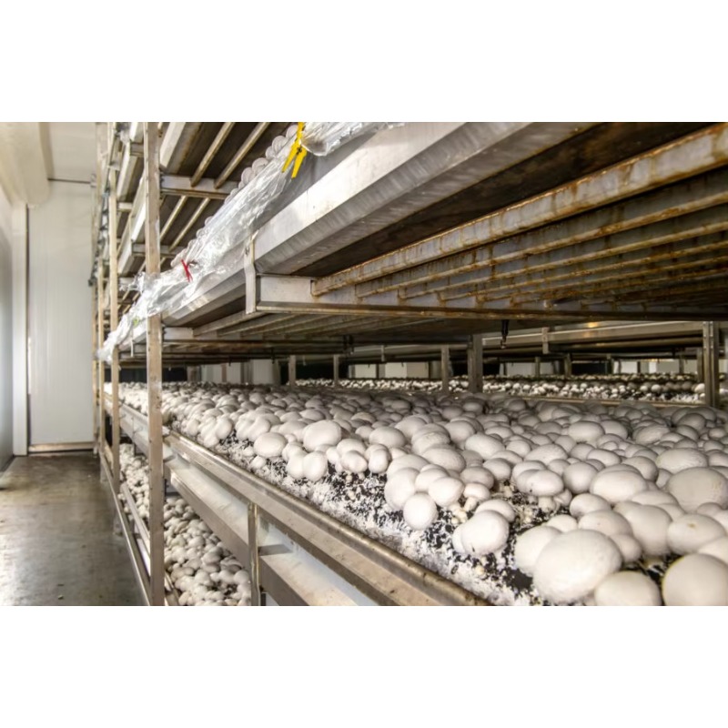 Ferme hydroponique en conteneu - Farming Agriculture Project avis et prix