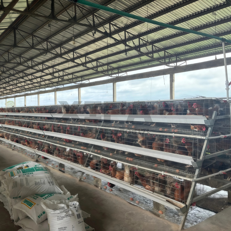 Vente de matériel agricole en  - Farming Africa avis et prix