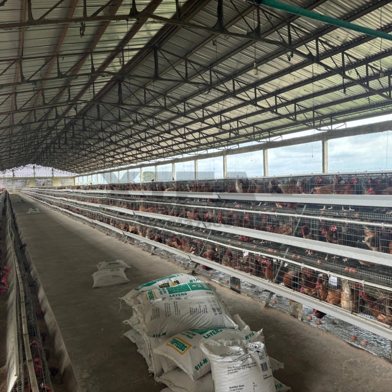 Vente de matériel agricole en  - Farming Africa avis et prix