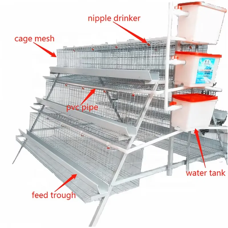 Cages à poules de type H pour  - Farming Africa avis et prix